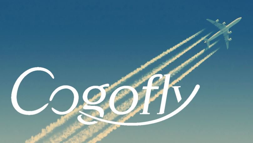 cogofly-about-us-name